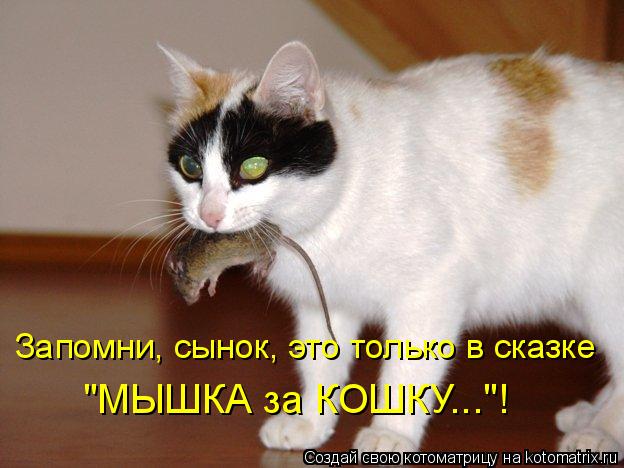 Котоматрица: Запомни, сынок, это только в сказке "МЫШКА за КОШКУ..."!