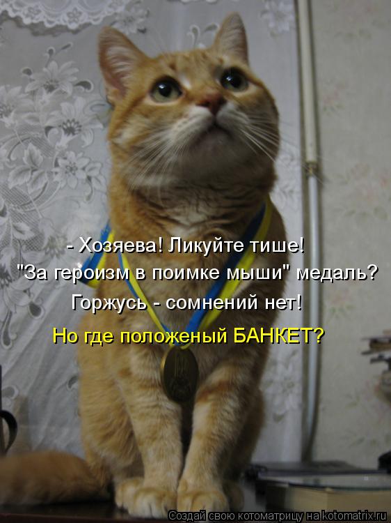 - Хозяева! Ликуйте тише! "За героизм в поимке мыши" медаль? Горжусь - сомнений нет! Но где положеный ... Котоматрица: - Хозяева! Ликуйте тише! "За героизм в поимке мыши" медаль? Горжусь - сомнений нет! Но где положеный БАНКЕТ?
