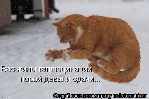 Васькины галлюцинации порой давали сдачи...... Котоматрица: Васькины галлюцинации порой давали сдачи...