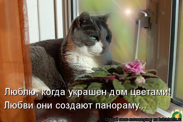 Люблю, когда украшен дом цветами! Любви они создают панораму...... Котоматрица: Люблю, когда украшен дом цветами! Любви они создают панораму...