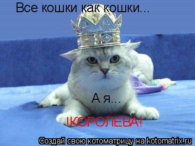 Все кошки как кошки... А я... !КОРОЛЕВА!... Котоматрица: Все кошки как кошки... А я... !КОРОЛЕВА!
