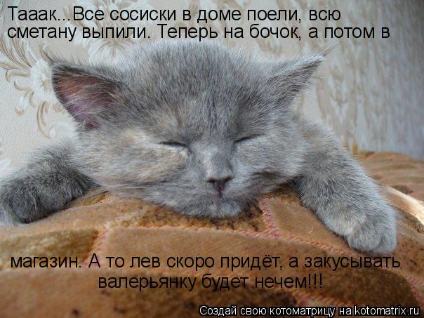Тааак...Все сосиски в доме поели, всю сметану выпили. Теперь на бочок, а потом в магазин. А то лев ск... Котоматрица: Тааак...Все сосиски в доме поели, всю сметану выпили. Теперь на бочок, а потом в магазин. А то лев скоро придёт, а закусывать валерьянку будет