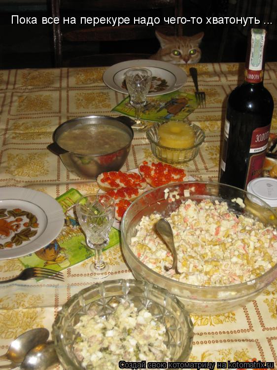 Пока все на перекуре надо чего-то хватонуть ...... Котоматрица: Пока все на перекуре надо чего-то хватонуть ...