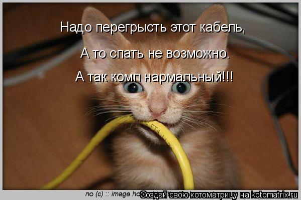 Надо перегрысть этот кабель, А то спать не возможно. А так комп нармальный!!!... Котоматрица: Надо перегрысть этот кабель, А то спать не возможно. А так комп нармальный!!!