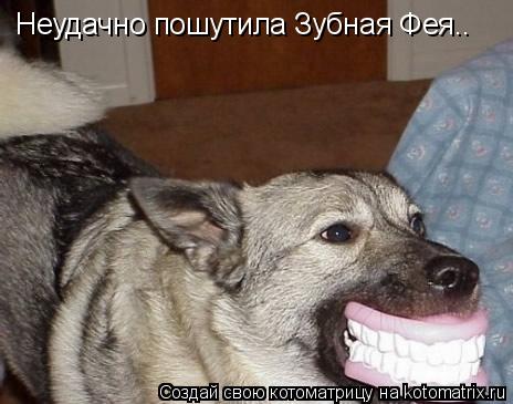 Неудачно пошутила Зубная Фея..... Котоматрица: Неудачно пошутила Зубная Фея..