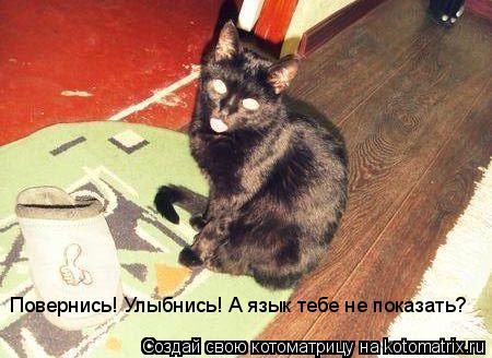 Повернись! Улыбнись! А язык тебе не показать?... Котоматрица: Повернись! Улыбнись! А язык тебе не показать?