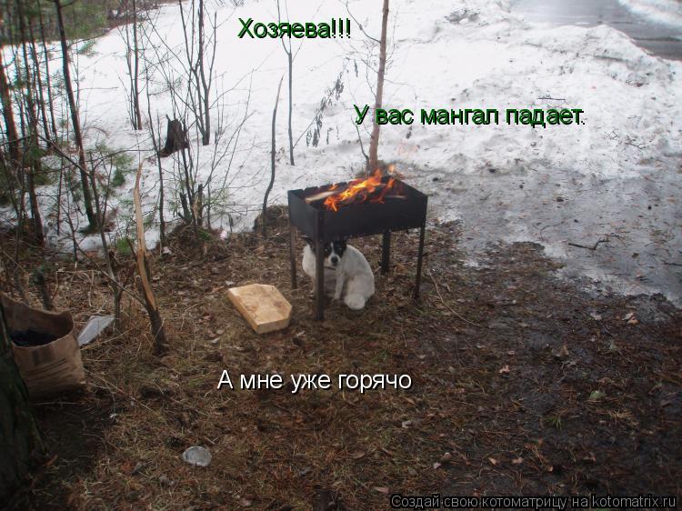 Хозяева!!! У вас мангал падает. А мне уже горячо... Котоматрица: Хозяева!!! У вас мангал падает. А мне уже горячо