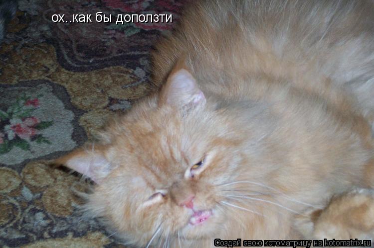 ох..как бы доползти... Котоматрица: ох..как бы доползти