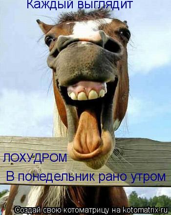 В понедельник рано утром Каждый выглядит ЛОХУДРОМ... Котоматрица: В понедельник рано утром Каждый выглядит ЛОХУДРОМ
