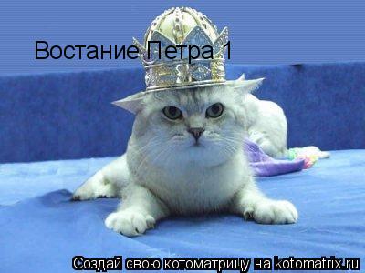 Востание Петра 1... Котоматрица: Востание Петра 1
