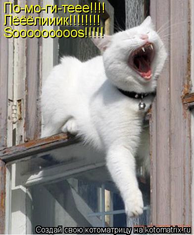 По-мо-ги-теее!!!! Лёёёлииик!!!!!!!! Sooooooooos!!!!!... Котоматрица: По-мо-ги-теее!!!! Лёёёлииик!!!!!!!! Sooooooooos!!!!!