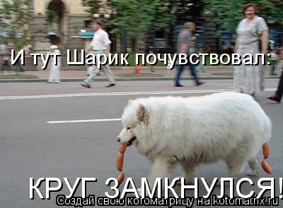 И тут Шарик почувствовал: КРУГ ЗАМКНУЛСЯ!... Котоматрица: И тут Шарик почувствовал: КРУГ ЗАМКНУЛСЯ!
