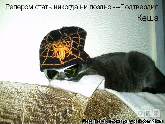 Репером стать никогда ни поздно ---Подтвердил Кеша... Котоматрица: Репером стать никогда ни поздно ---Подтвердил Кеша