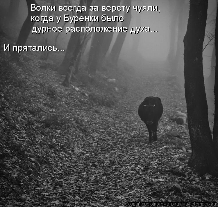 И прятались... дурное расположение духа... Волки всегда за версту чуяли, когда у Буренки было... Котоматрица: И прятались... дурное расположение духа... Волки всегда за версту чуяли, когда у Буренки было