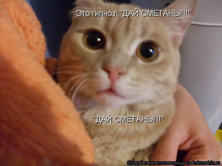 Это гипноз: "ДАЙ СМЕТАНЫ!!!" "ДАЙ СМЕТАНЫ!!!"... Котоматрица: Это гипноз: "ДАЙ СМЕТАНЫ!!!" "ДАЙ СМЕТАНЫ!!!"