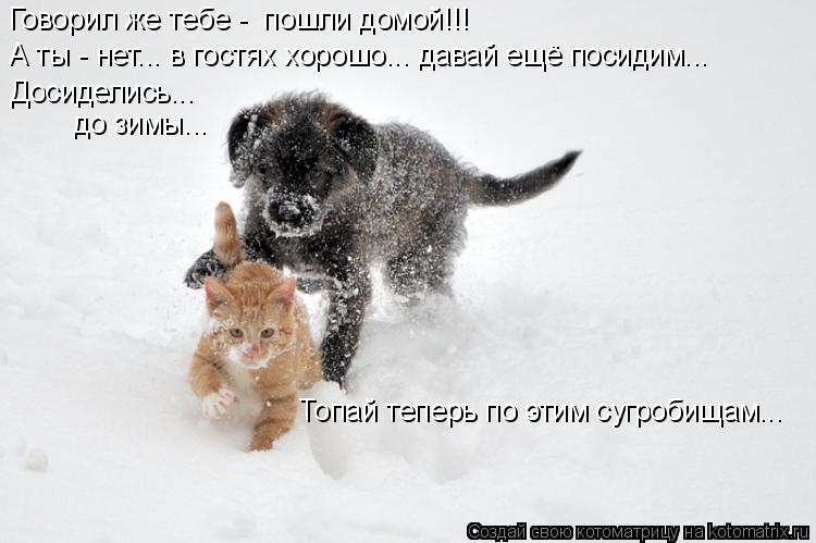 Говорил же тебе - пошли домой!!! А ты - нет... в гостях хорошо... давай ещё посидим... Топай теперь ... Котоматрица: Говорил же тебе - пошли домой!!! А ты - нет... в гостях хорошо... давай ещё посидим... Топай теперь по этим сугробищам... Досиделись... до зимы...