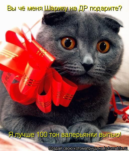 Вы чё меня Шарику на ДР подарите? Я лучше 100 тон валерьянки выпью!... Котоматрица: Вы чё меня Шарику на ДР подарите? Я лучше 100 тон валерьянки выпью!