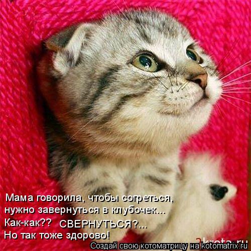 Мама говорила, чтобы согреться, нужно завернуться в клубочек... Как-как?? СВЕРНУТЬСЯ?... Но так т... Котоматрица: Мама говорила, чтобы согреться, нужно завернуться в клубочек... Как-как?? СВЕРНУТЬСЯ?... Но так тоже здорово!