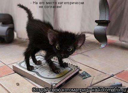 - На его место категорически не согласен!... Котоматрица: - На его место категорически не согласен!