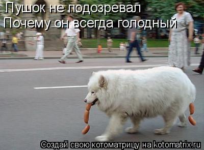 Пушок не подозревал Почему он всегда голодный... Котоматрица: Пушок не подозревал Почему он всегда голодный