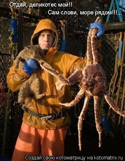 Отдай, деликотес мой!! Сам споймай, море рядом!!!,,, Отдай, деликотес мой!! Сам слови, море рядом!!!... Котоматрица: Отдай, деликотес мой!! Сам споймай, море рядом!!!,,, Отдай, деликотес мой!! Сам слови, море рядом!!!,,,