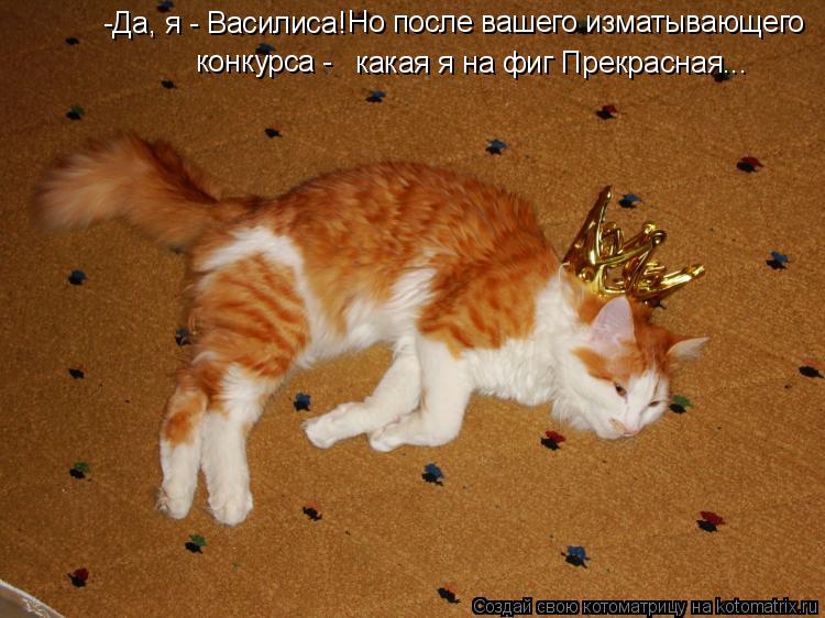 -Да, я - Василиса! какая я на фиг Прекрасная... Но после вашего изматывающего конкурса -... Котоматрица: -Да, я - Василиса! какая я на фиг Прекрасная... Но после вашего изматывающего конкурса -
