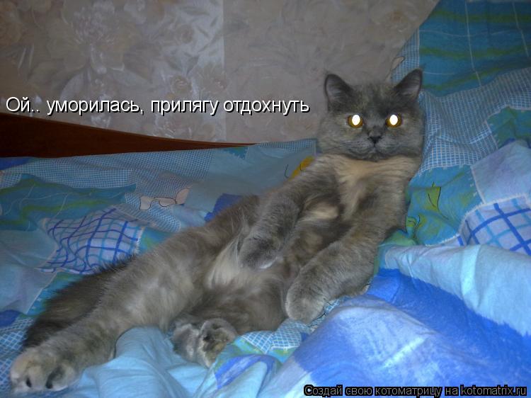 Ой.. уморилась, прилягу отдохнуть... Котоматрица: Ой.. уморилась, прилягу отдохнуть