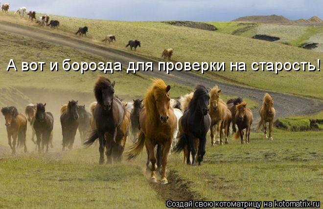 А вот и борозда для проверки на старость!... Котоматрица: А вот и борозда для проверки на старость!