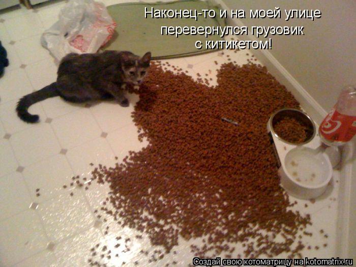 Наконец-то и на моей улице перевернулся грузовик с китикетом!... Котоматрица: Наконец-то и на моей улице перевернулся грузовик с китикетом!