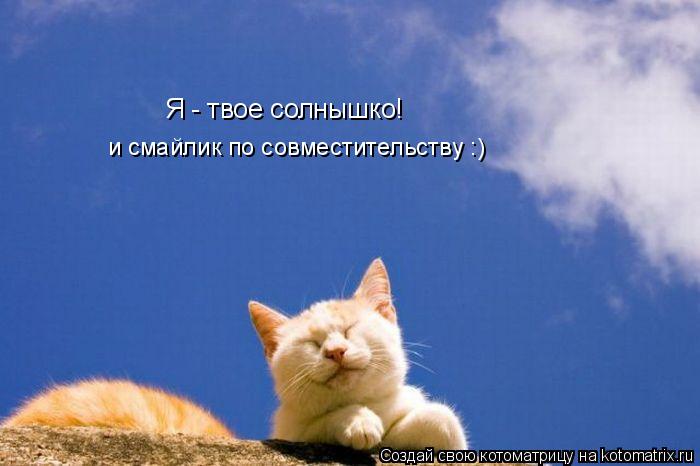 Я - твое солнышко! и смайлик по совместительству :)... Котоматрица: Я - твое солнышко! и смайлик по совместительству :)