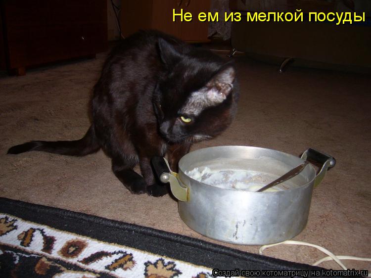Не ем из мелкой посуды... Котоматрица: Не ем из мелкой посуды