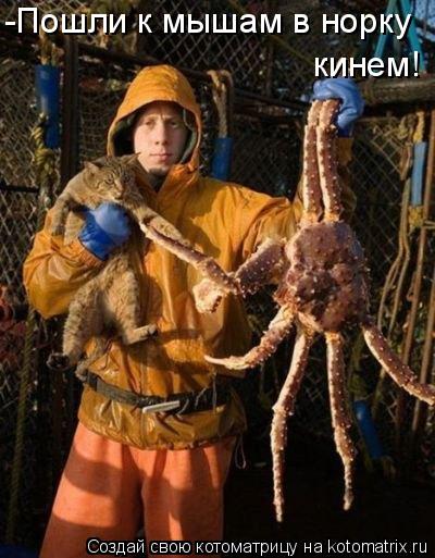 -Пошли к мышам в норку кинем!
