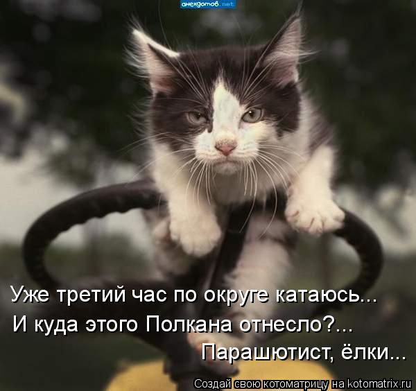 Уже третий час по округе катаюсь... И куда этого Полкана отнесло?... Парашютист, ёлки...... Котоматрица: Уже третий час по округе катаюсь... И куда этого Полкана отнесло?... Парашютист, ёлки...