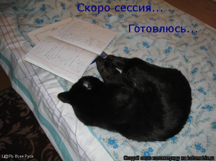 Скоро сессия... Готовлюсь... Ц@РЬ Всея Руси... Котоматрица: Скоро сессия... Готовлюсь... Ц@РЬ Всея Руси