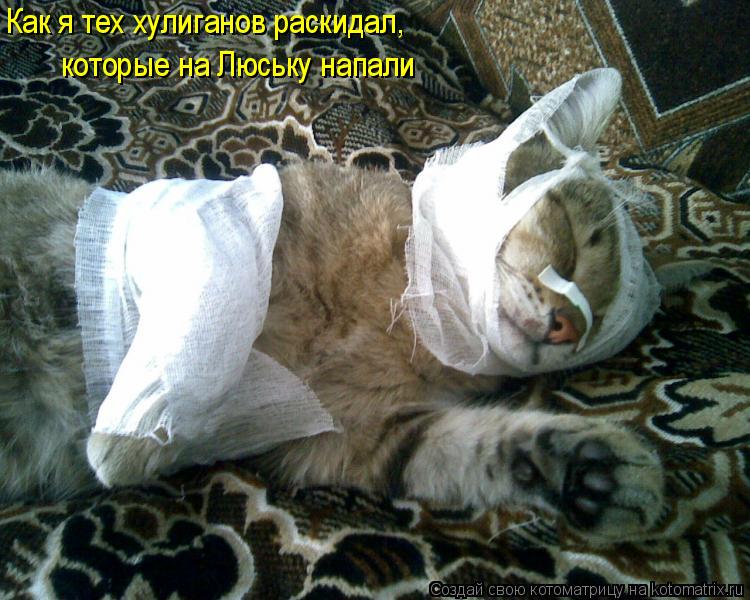 Как я тех хулиганов раскидал, которые на Люську напали... Котоматрица: Как я тех хулиганов раскидал, которые на Люську напали
