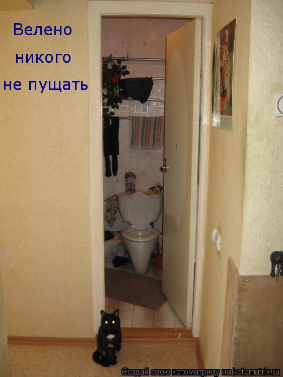 Велено никого не пущать... Котоматрица: Велено никого не пущать