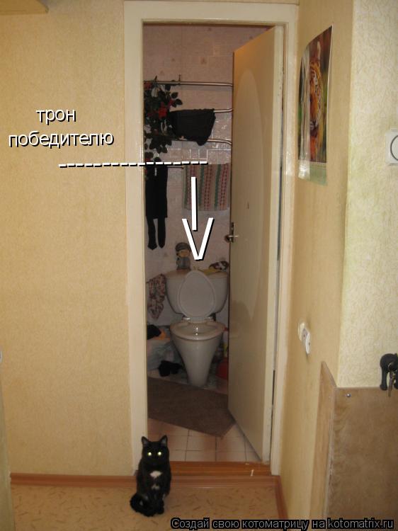 трон победителю ----------------- | /... Котоматрица: трон победителю ----------------- | /