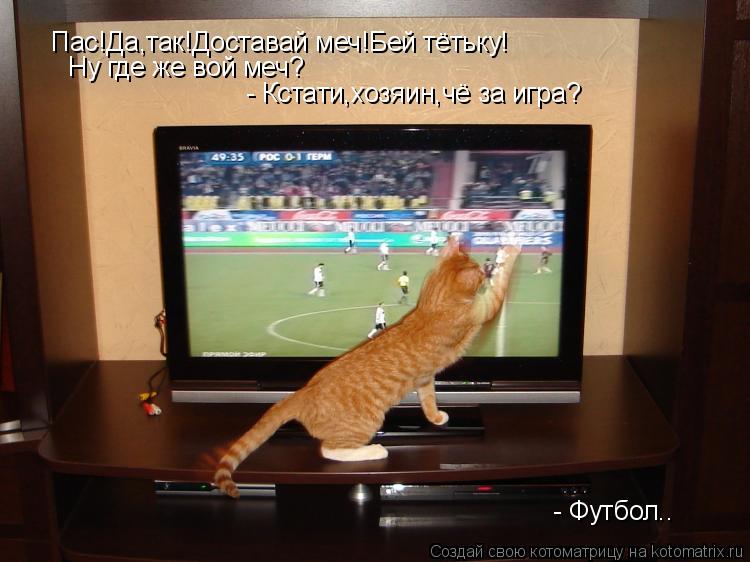 Пас!Да,так!Доставай меч!Бей тётьку! - Кстати,хозяин,чё за игра? Ну где же вой меч? - Футбол..... Котоматрица: Пас!Да,так!Доставай меч!Бей тётьку! - Кстати,хозяин,чё за игра? Ну где же вой меч? - Футбол..