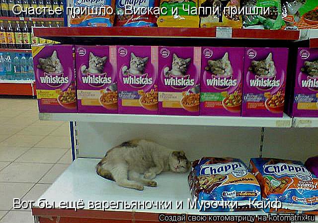 Счастье пришло...Вискас и Чаппи пришли... Вот бы ещё варельяночки и Мурочки...Кайф..... Котоматрица: Счастье пришло...Вискас и Чаппи пришли... Вот бы ещё варельяночки и Мурочки...Кайф..