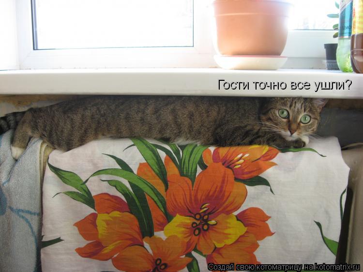 Гости точно все ушли?... Котоматрица: Гости точно все ушли?