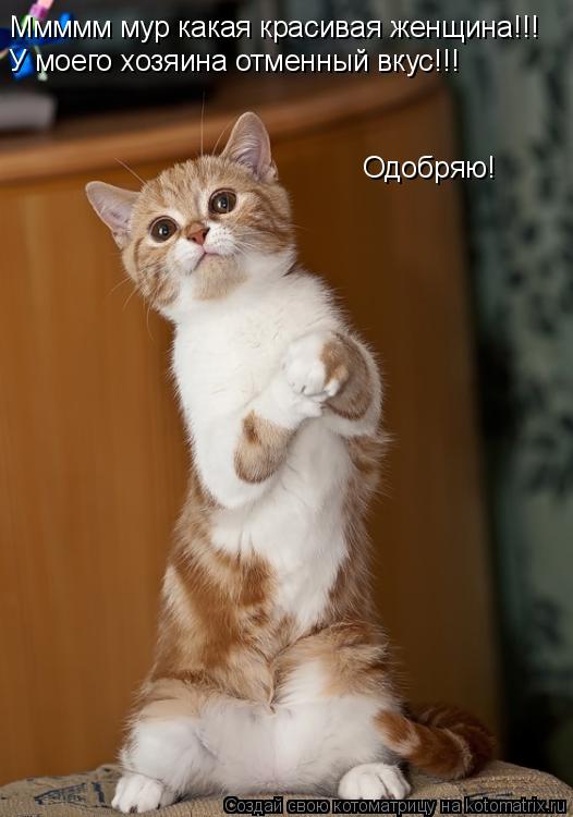 Ммммм мур какая красивая женщина!!! У моего хозяина отменный вкус!!! Одобряю!... Котоматрица: Ммммм мур какая красивая женщина!!! У моего хозяина отменный вкус!!! Одобряю!