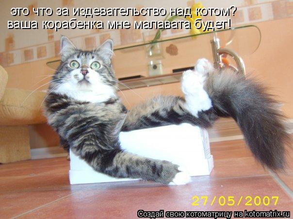 это что за издевательство над котом? ваша корабенка мне малавата будет!... Котоматрица: это что за издевательство над котом? ваша корабенка мне малавата будет!
