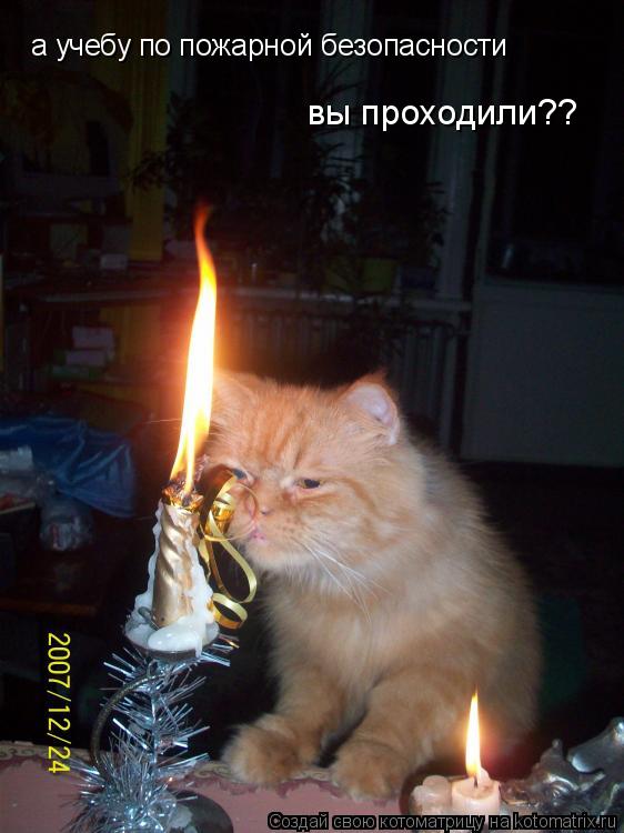 а учебу по пожарной безопасности вы проходили??... Котоматрица: а учебу по пожарной безопасности вы проходили??
