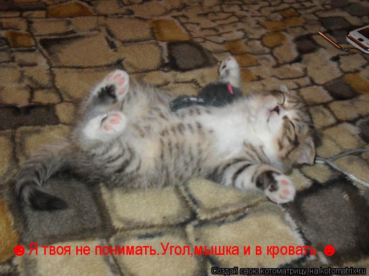 ☻Я твоя не понимать.Угол,мышка и в кровать ☻... Котоматрица: ☻Я твоя не понимать.Угол,мышка и в кровать ☻