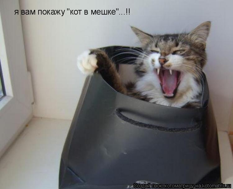 я вам покажу "кот в мешке"...!!... Котоматрица: я вам покажу "кот в мешке"...!!