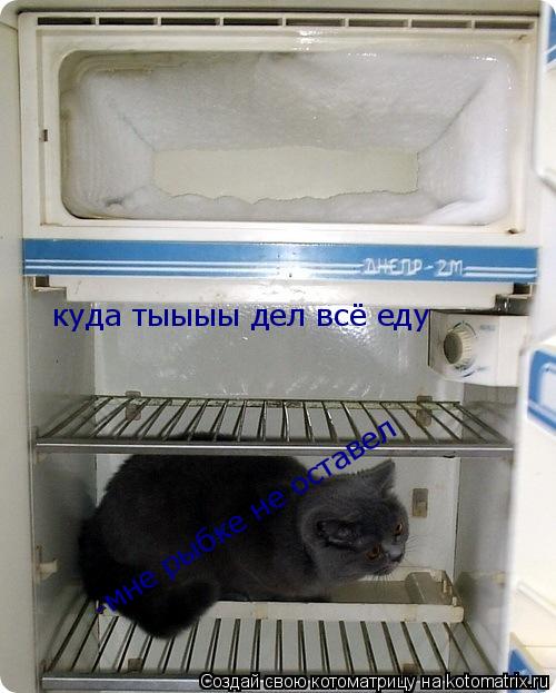 куда тыыыы дел всё еду -мне рыбке не оставел... Котоматрица: куда тыыыы дел всё еду -мне рыбке не оставел