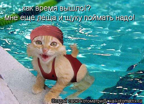 как время вышло!? мне ещё леща и щуку поймать надо!... Котоматрица: как время вышло!? мне ещё леща и щуку поймать надо!