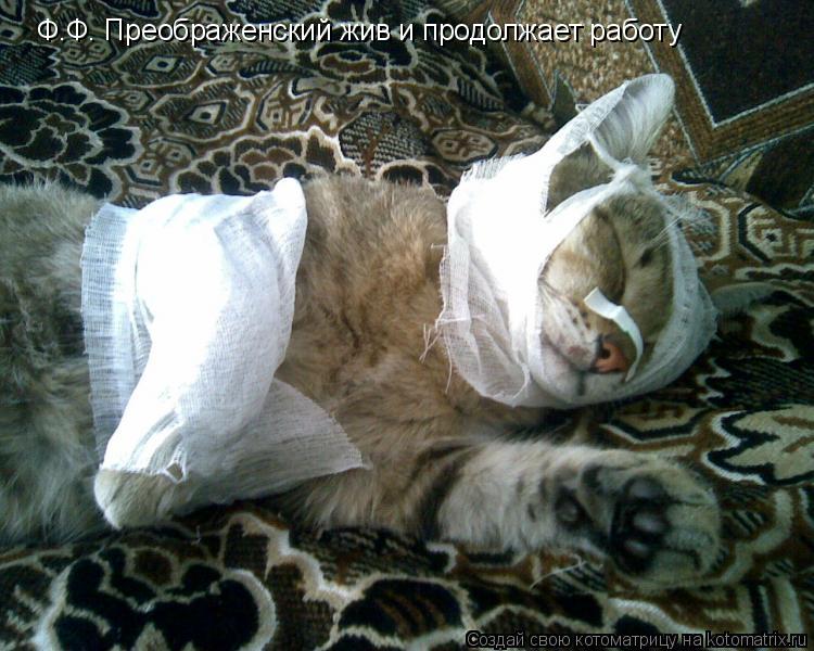 Ф.Ф. Преображенский жив и продолжает работу... Котоматрица: Ф.Ф. Преображенский жив и продолжает работу