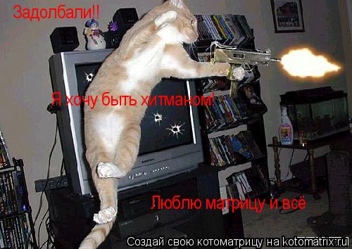 Задолбали!! Люблю матрицу и всё Я хочу быть хитманом!... Котоматрица: Задолбали!! Люблю матрицу и всё Я хочу быть хитманом!