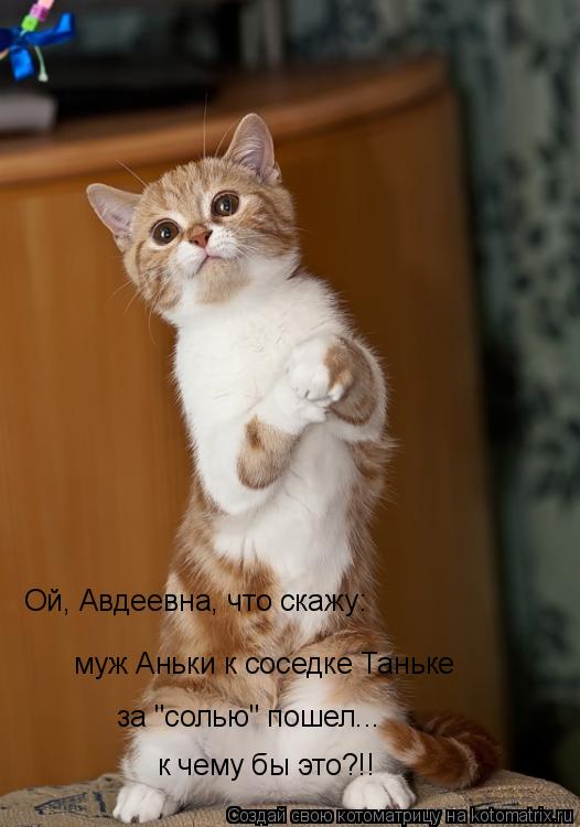 Ой, Авдеевна, что скажу: муж Аньки к соседке Таньке за "солью" пошел... к чему бы это?!!... Котоматрица: Ой, Авдеевна, что скажу: муж Аньки к соседке Таньке за "солью" пошел... к чему бы это?!!
